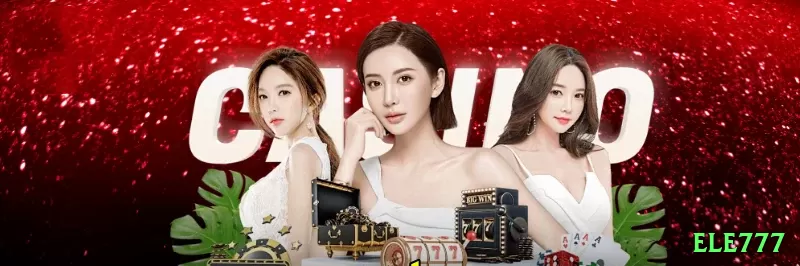 33nn Live Casino Pro Screenshot 1